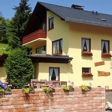 Ferienwohnung Sonnentraum - Appartement 5 Willingen 빌링겐 외부 사진