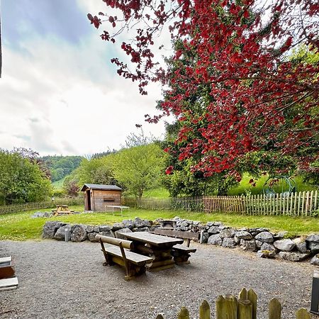 Ferienwohnung Sonnentraum - Appartement 5 Willingen 빌링겐 외부 사진