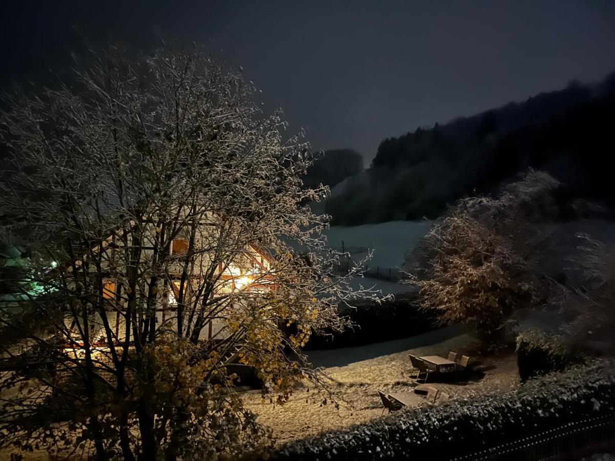 Ferienwohnung Sonnentraum - Appartement 5 Willingen 빌링겐 외부 사진