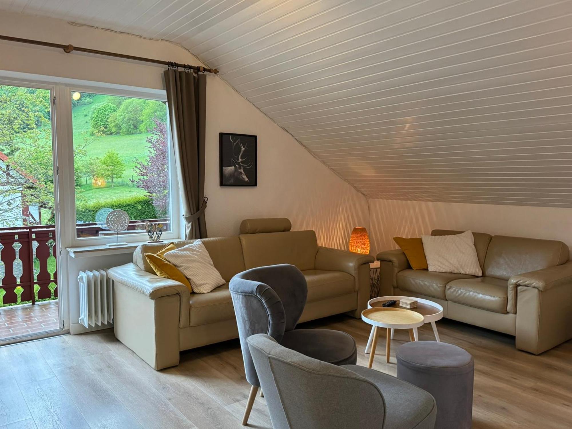 Ferienwohnung Sonnentraum - Appartement 5 Willingen 빌링겐 외부 사진